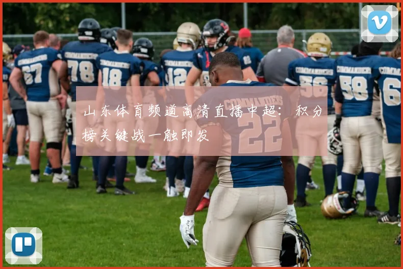 山东体育频道高清直播中超：积分榜关键战一触即发