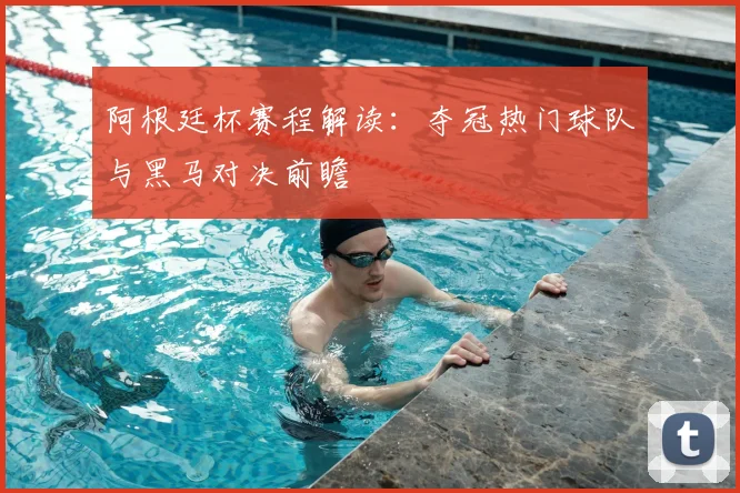 阿根廷杯赛程解读：夺冠热门球队与黑马对决前瞻